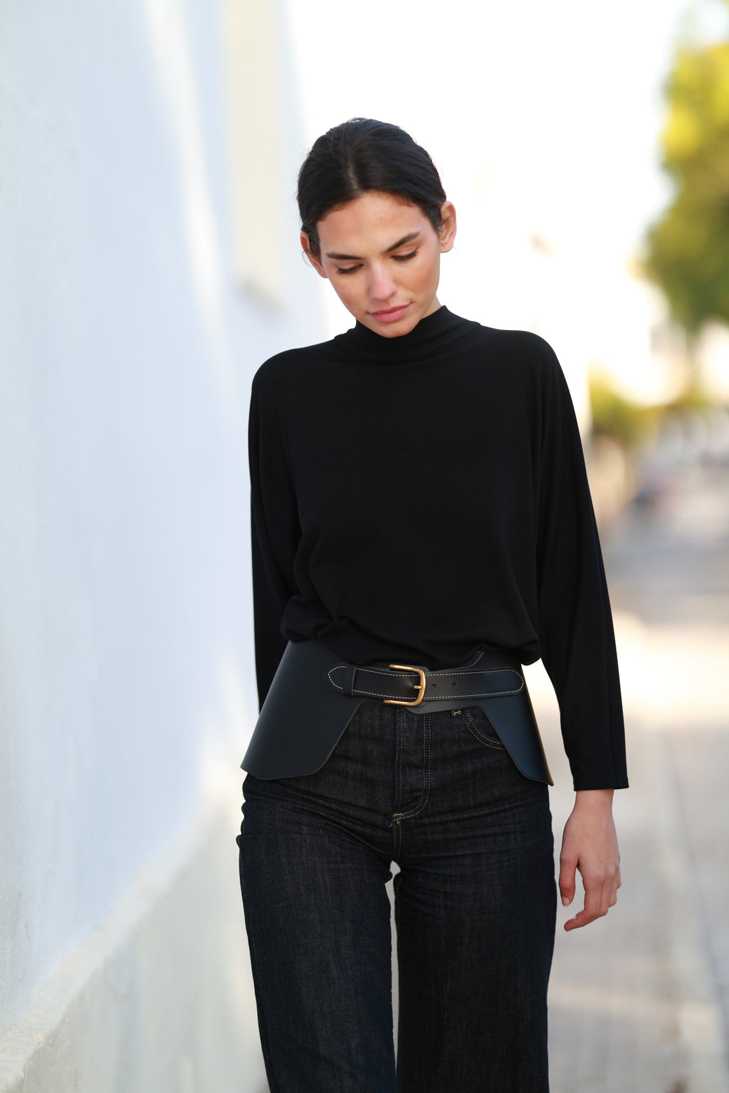 Cinturón Bahía Negro