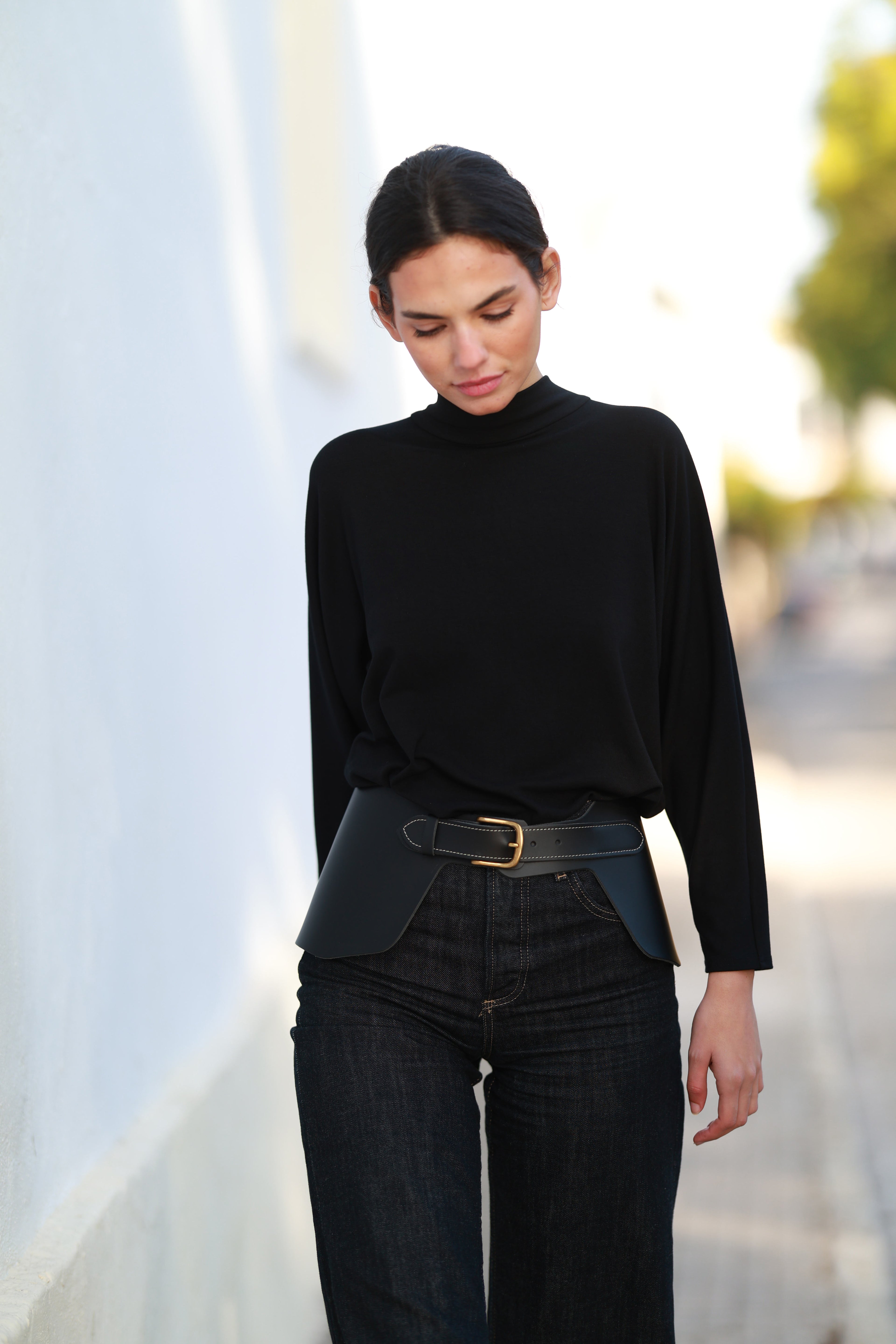 Cinturón Bahía Negro