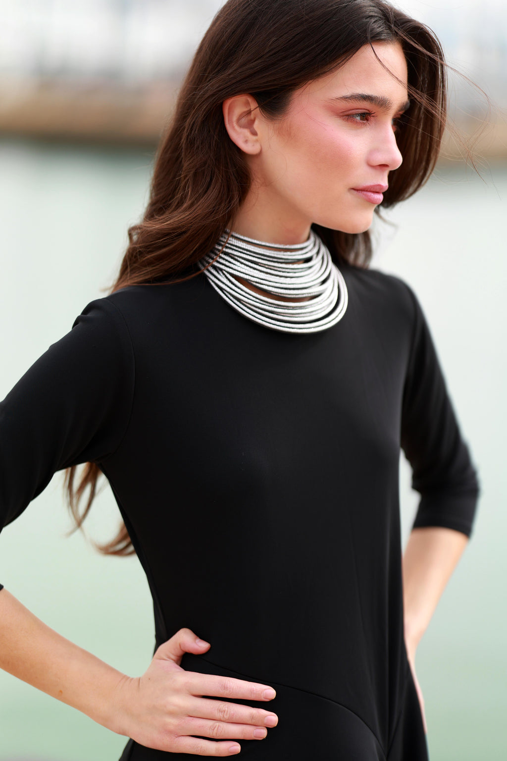 Collar Coa Large Plateado